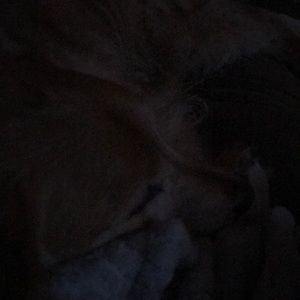 Meet your Posher, Kristine